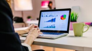 imagenacion.com fotos 1 3593 analitica web