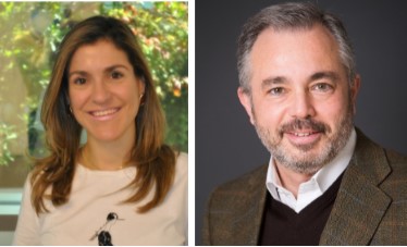 imagenacion.com fotos 1 sap2