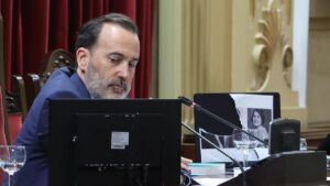 485466 lesenne picornell